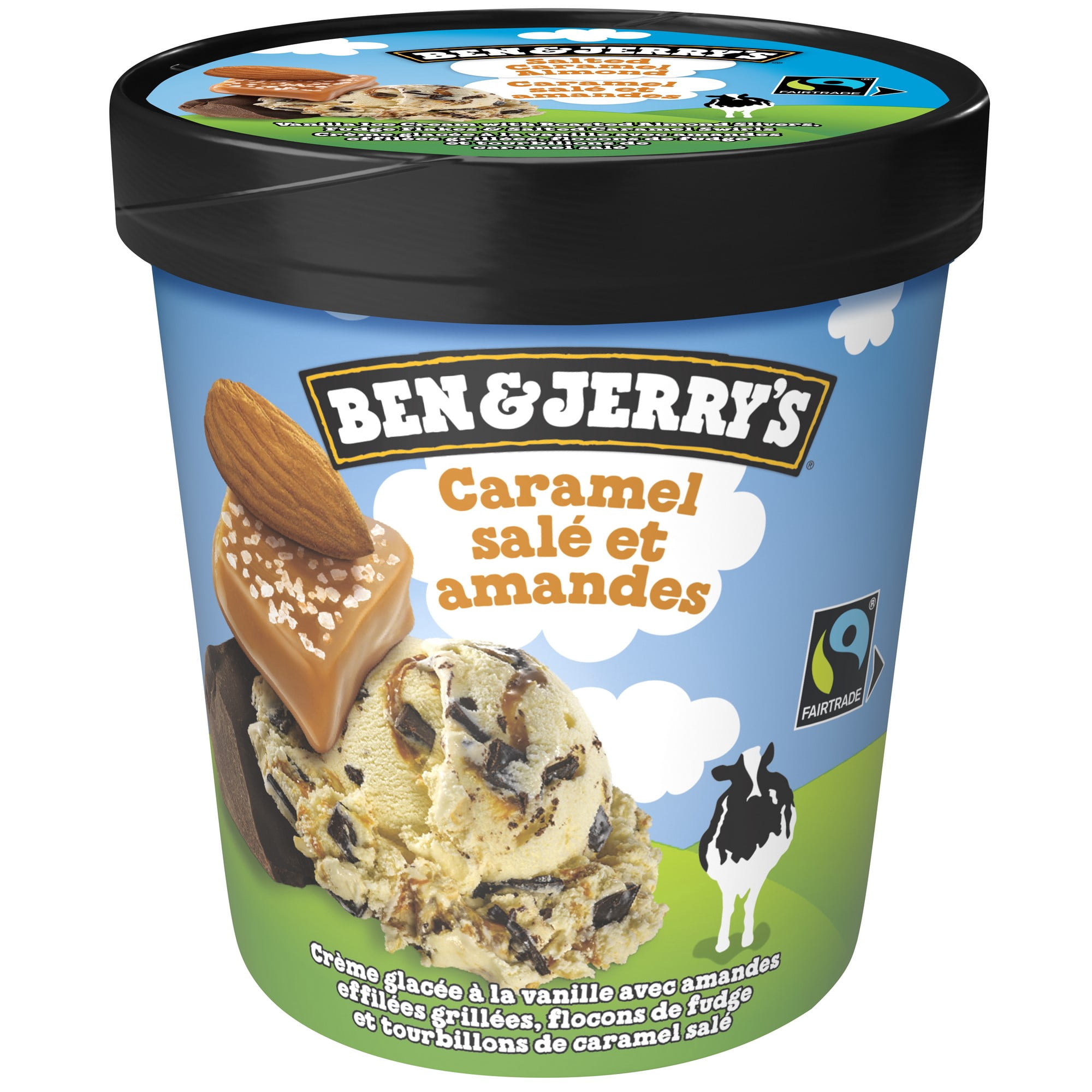 Ben & Jerry's Salted Caramel Almond Ice Cream, 473 mL