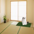 thumbnail image 4 of Miangastore Decorative Pet Pee Pad Delicate Pet Pee Mat Wear-resistant Grass Pad Pet Accessory, 4 of 9