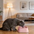 thumbnail image 4 of TIELUTT Floating Water Bowl Portable Drinking Tray for Not Easy To Spill, 4 of 5