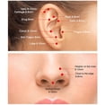 thumbnail image 4 of MesaSe Nose Rings for Women Surgical Steel Hypoallergenic Hinged Small Nose Ring, 4 of 5