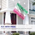 thumbnail image 3 of Anley Fly Breeze 3x5 Ft Abrosexual Pride Flag - Abrosexuality LGBT Flags Polyester, 3 of 6