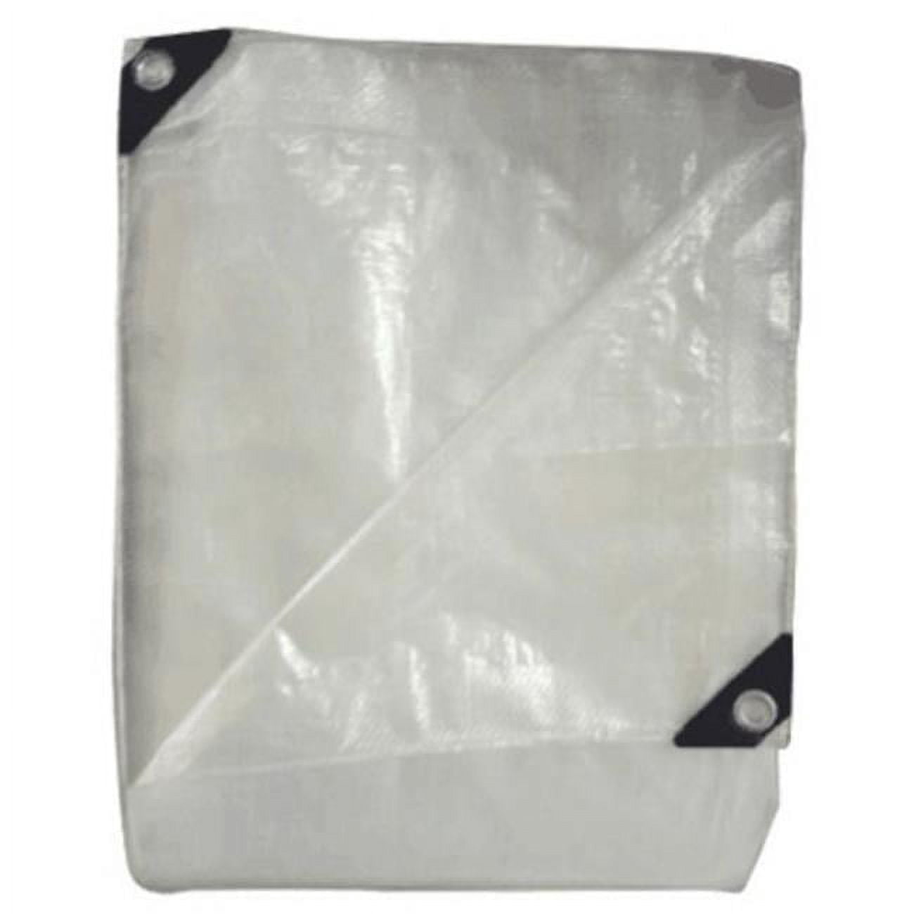 Tru-Guard 100793 Bâche de Rangement en Polyéthylène 20 x 30 Po, Argent et Noir