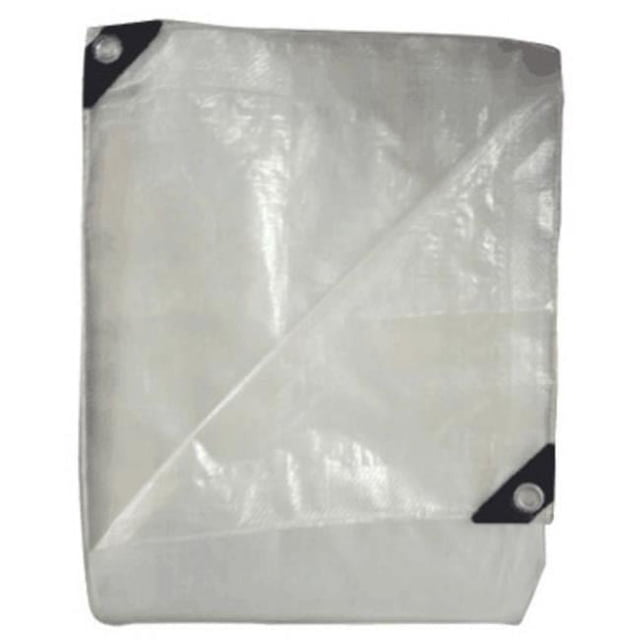 Tru-Guard 100793 Bâche de Rangement en Polyéthylène 20 x 30 Po, Argent et Noir