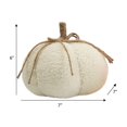 thumbnail image 2 of Way To Celebrate Sherpa Pumpkin Decoration, Diameter 7 inch, Cream colour, 2 of 4
