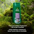 thumbnail image 3 of Irish Spring 5-in-1 Body Wash for Men, 591 mL, 591 mL, 3 of 5