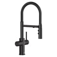 thumbnail image 1 of Catris Flexo Filter-Ready Semi-Pro Pull-Down Dual-Spray Kitchen Faucet - Matte Black, 1 of 5