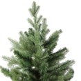 thumbnail image 3 of Northlight Real Touch™️ Mixed Eden Pine Artificial Christmas Tree - Unlit - 7', 3 of 6