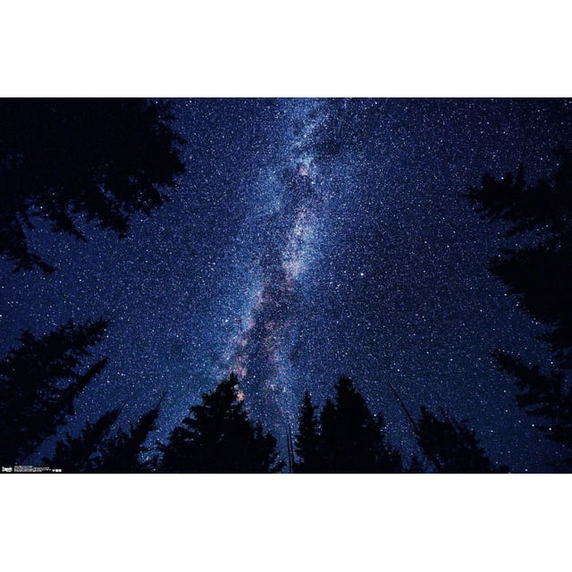 Milky Way At Night Wall Poster, 14.725" x 22.375", depicting the Milky Way galaxy vertically across a deep blue night sky filled with stars, framed by dark pine tree silhouettes at the bottom, printed on satin finish paper ideal for home décor and wall art, often used to enhance bedrooms, offices, or dorm rooms.