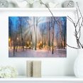 thumbnail image 1 of Winter at Mariinsky Gardens - Landscape Photography Canvas Print, 1 of 1