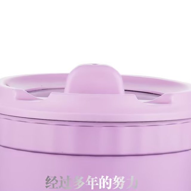 Cuiseur Électrique à Ramen, Pot à Nouilles Électrique Multifonctionnel Mini Pot de Cuisson Électrique Solution Innovante