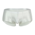 thumbnail image 3 of Men's Underwear Breathable Sheer Shiny Low Rise Briefs for Daily Comfort and All-Season Wear, 3 of 3