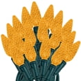 thumbnail image 1 of Novelty Lights 24FT 70 LED C6 Orange Halloween Lights, Green Wire, 1 of 8