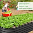thumbnail image 4 of EDTara Large Oval Raised Planter Beds, 2-Pack Metal Garden Boxes With Open-Ended Base for Growing Vegetables and Flowers, 4 of 9