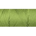 thumbnail image 1 of Caron Simply Soft Medium Acrylic Pistachio Yarn, 6 oz, 1 of 2