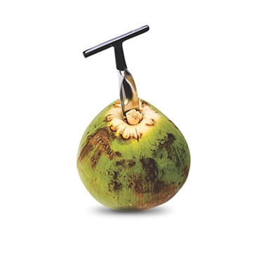 Stainless Steel Coconut Opener For  Green Coconut Water Open Tools