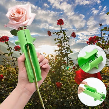 COM1950s Rose Thorn Remover,Gardening Tool for Florists,Efficient Leaf and Thorn Removal Tool Plastic Double Pack,6 Inch Length 1.2 Inch Diameter for Home Flower Arrangements