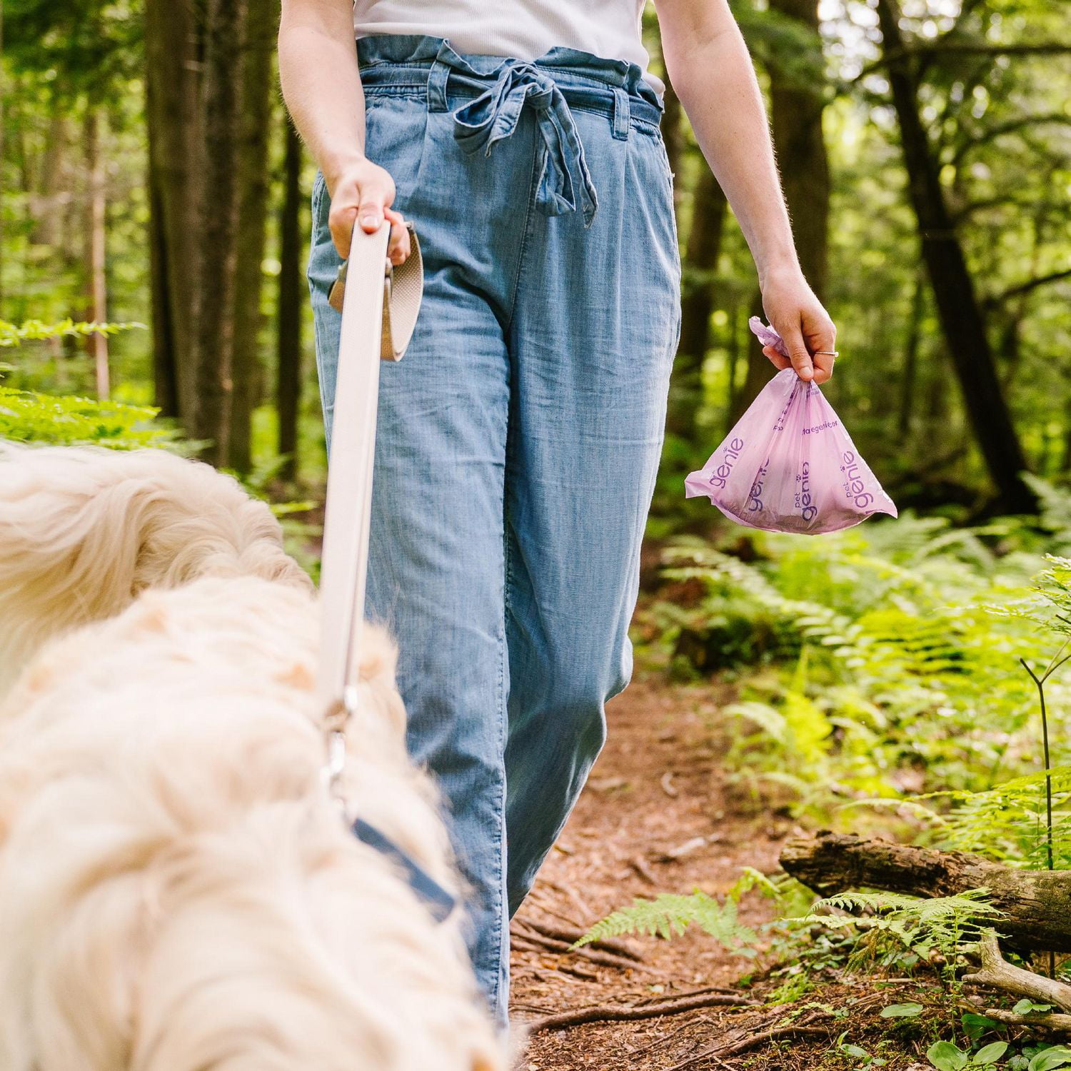 Pet Genie - Dog Poop bags - includes 240 lavender-scented bags made from 65% recycled plastic