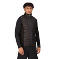 thumbnail image 3 of Regatta Professional Gilet Hybride Matelassé pour Hommes, 3 of 3