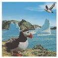 thumbnail image 1 of 20 Pack Luncheon 3 Ply Napkin Puffin - Set of 6, 1 of 2