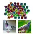 thumbnail image 4 of lionlar 100Pcs 2022 Aluminium Colombe Racing Pigeon Pieds S Bandes 8mm Mélange, 4 of 8