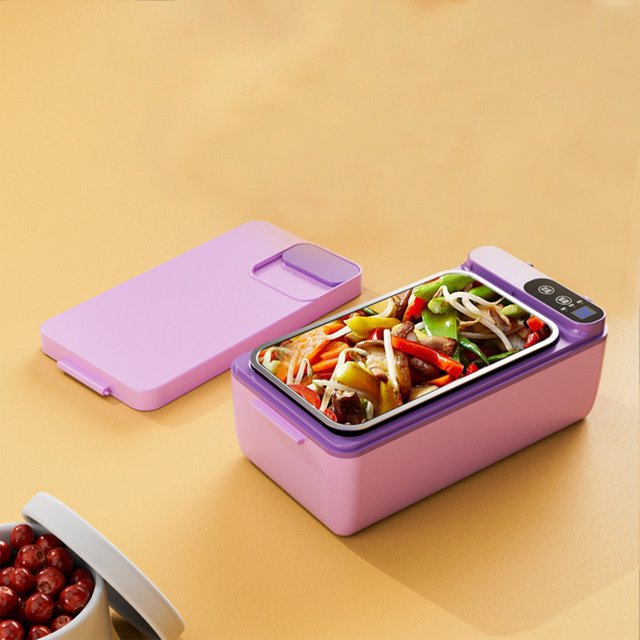 LSLJS Charging Hot Rice Box Bento Box Stainless Steel Detachable Inner Container Outdoor Camping Insulated Lunch Box, Heated Lunch Boxs, Gifts for Women/Men