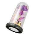 thumbnail image 3 of Preserved Flower, Romantic Elegant Transparent Box Eternal Rose  for Holiday Purple, 3 of 7