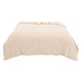 thumbnail image 1 of Super Soft Twin Blanket Lightweight Plush Soft Ice Blanket Breathable Temperature Controlled Air Conditioning Blanket In Summer Suitable for Constant Temperature Blanket In Air Conditioned Room, 1 of 9