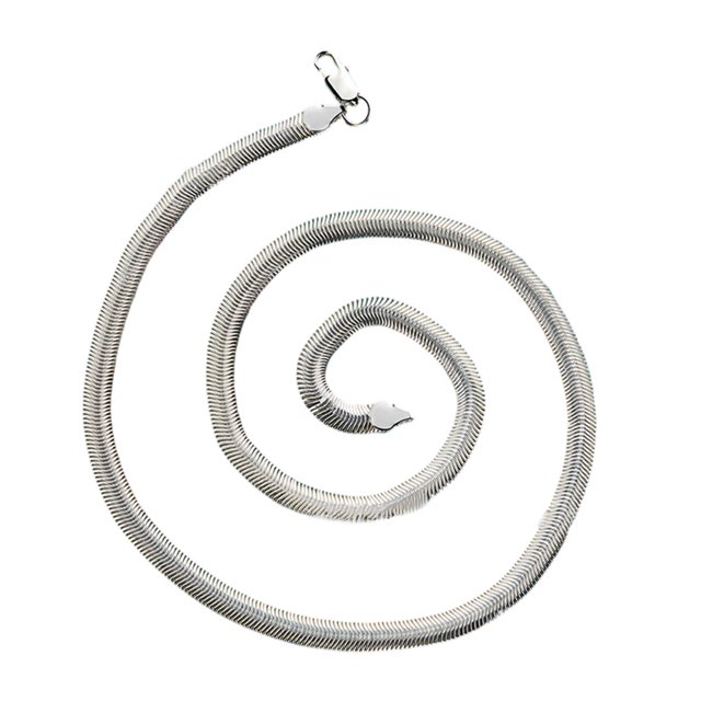Thinsony Silver Versatile Silver Chain Necklace Stylish And Unique Accessory Statement With Style Metal silver 55cm 1Set