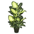 thumbnail image 2 of Vickerman 40 Pouces Dieffenbachia avec Pot-Vert Blanc - TA170201, 2 of 6
