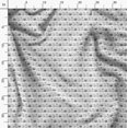 thumbnail image 3 of Soimoi Tissu Poly Georgette Tissu Imprimé Chat Animal au Mètre 42 Pouces de Large, 3 of 5