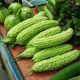 thumbnail image 3 of HJADGG Bitter Gourd Seeds, 40 Count Mini Variety, Heirloom Vegetable Seeds for Planting, 3 of 4