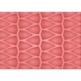thumbnail image 1 of Ahgly Company Tapis d'Intérieur Lavables en Machine, Rectangle Rouge de Transition, 5' x 8', 1 of 7