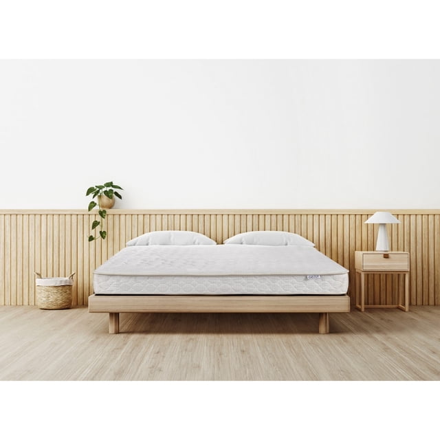 Brassex Queen Bonnell Coil Mattress with CertiPUR-US Foam Support, 6.5-Inch Rolled Mattress in a Box