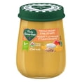 thumbnail image 1 of Baby Gourmet Organic Jar Mango Yogurt + Rolled Oats, 1 of 4