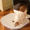 thumbnail image 1 of Tapis de Litière pour Chat Imperméable et Robuste, Fond Antidérapant Réutilisable, Facile à Nettoyer pour la Maison, 1 of 7