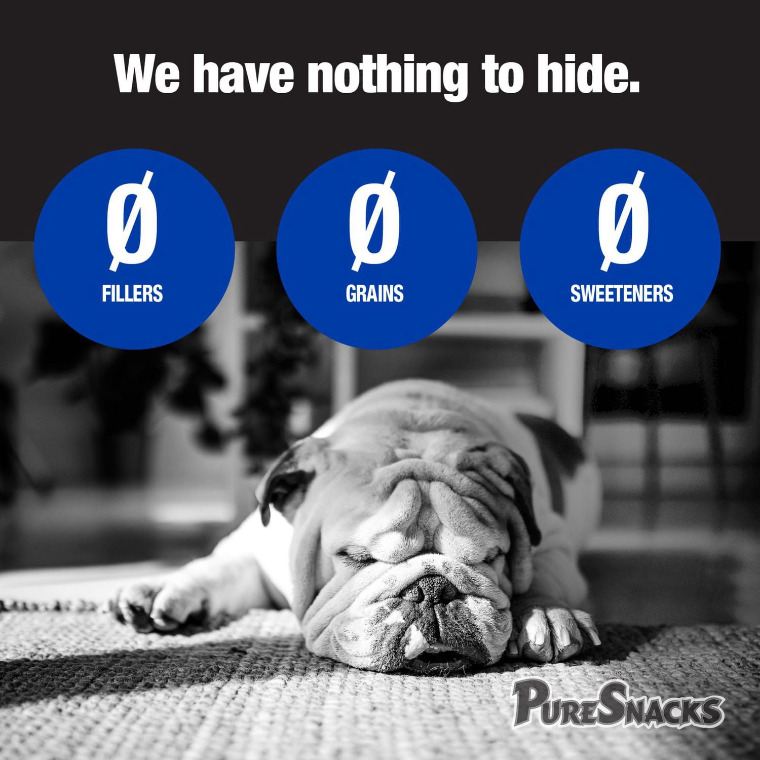 Mini-PureSnacks Gâteries d'Entraînement Séchées à l'Air, Thon pour Chien 396g