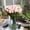 PK, variant on RKSTN Home Decor Artificial Fake Flowers Bouquet Floral Wedding Bouquet Party Home Decor WH Home Decor
