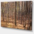 thumbnail image 2 of Thick Carpathian Deciduous Forest - Forest Canvas Art Print, 2 of 4
