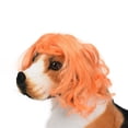 thumbnail image 4 of Pet Wig Photography Prop - Dacron, Funny Design, Comfortable, for Cats Dogs Photo Shoots, 4 of 5