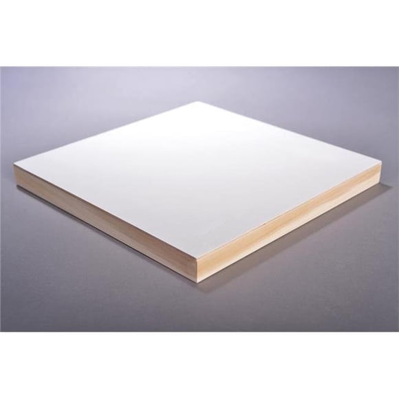 American Easel AECL1218 Panneau de Peinture Gesso Plat 12 x 18 Po - Transparent