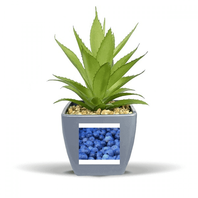 Fresh Blueberry Tropical Fruit Picture Fake Pineapple Flower Pot Vase Mini Decor