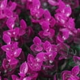 thumbnail image 2 of Artificial Mat Grass Lawns Wall Hedge Fence Foliage Panel Home Wedding Decor, 2 of 7