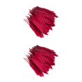 thumbnail image 3 of Maytalsory 100x DIY Boho Style Wild And Colorfast Feathers For Crafts Tear-resistant Burgendy 2Set, 3 of 6