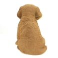 thumbnail image 4 of Border Concepts Nature's Gallery Compagnons de Compagnie (Chiot Golden Retriever), 4 of 4