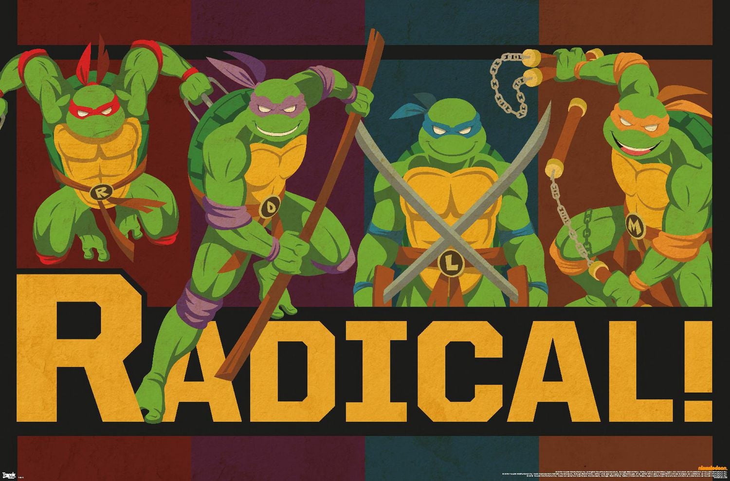 Tortues Ninja - Radical