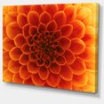 thumbnail image 2 of Large Dark Yellow Flower and Petals - Floral Canvas Art Print, 2 of 3