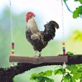 thumbnail image 3 of Chicken Swing, Non- With Hooks Handmade Cage Hanging Toy, For Bedroom Home Chicken Swing, 3 of 8