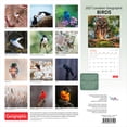 thumbnail image 2 of Canadian Geographic Birds 2027 Square, 2 of 3