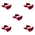 thumbnail image 2 of Baohd Style With Sweat Absorbent Women Accessories Lightweight And Durable Hair Bands Wine Red 5Set, 2 of 6