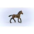 thumbnail image 5 of Schleich Poulain Paso Péruvien, 5 of 5